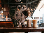 The Best & Worst of the UK's Coffee Chains