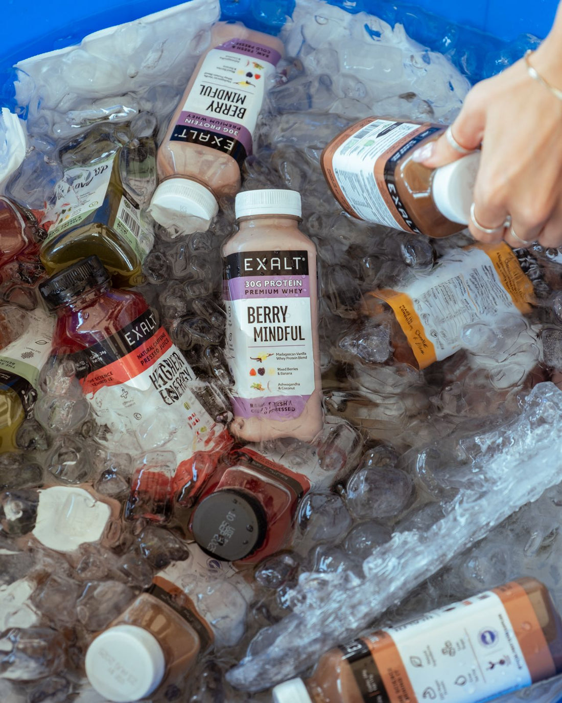 How Long Can a Protein Smoothie Last in the Fridge? - EXALT