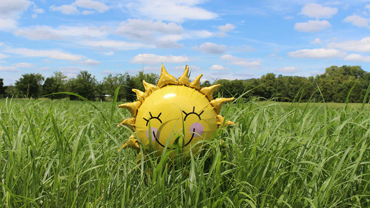 Vitamin D, the Sunshine Vitamin