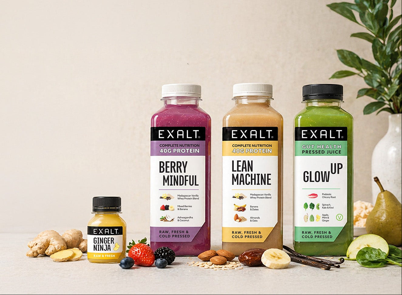 7 Day GLP-1 Nutrition Support Plan | Protein Smoothies, Drinks & Shakes While On GLP-1 | Meal Replacement Plan on GLP-1 EXALT 7 Day GLP-1 Nutrition Support Plan | Protein Smoothies, Drinks & Shakes While On GLP-1 | Meal Replacement Plan on GLP-1 EXALT