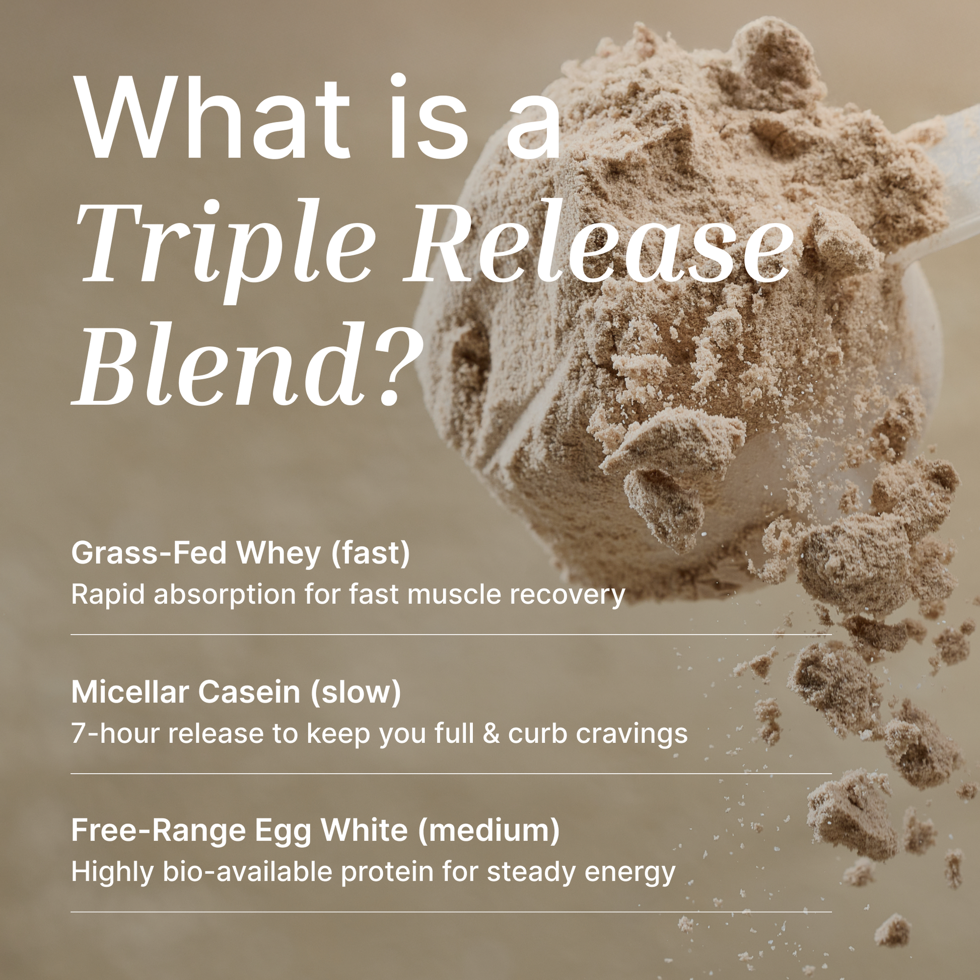 Whey Protein Powder | Organic Cacao - 500G