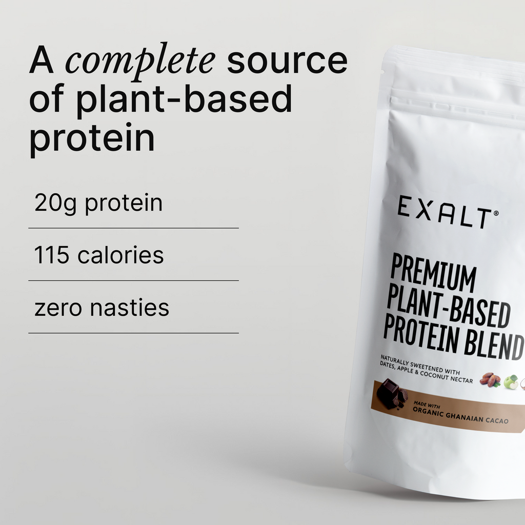 Vegan Protein Powder | Organic Cacao - 500G