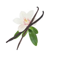 EXALT Triple-Release Premium Whey