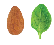 Almond Butter & Spinach