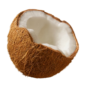 Coconut