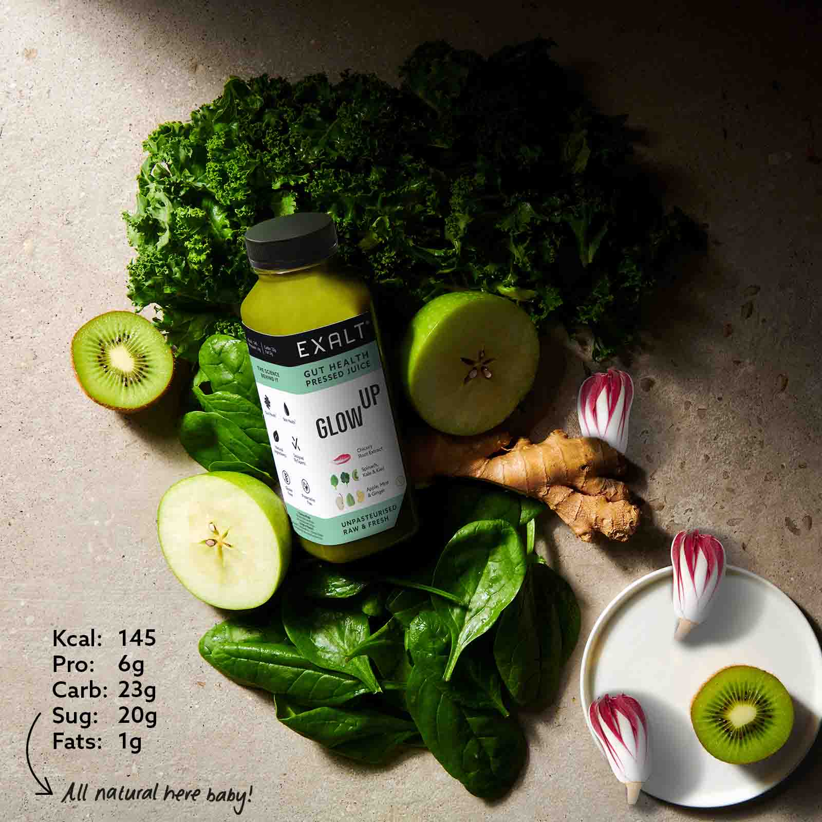 Plant-based Trial Box (11) - Bundles - EXALT