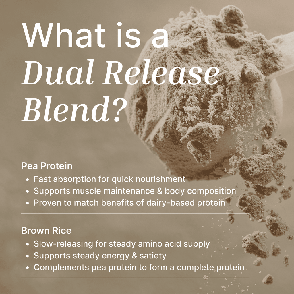 Vegan Protein Powder | Organic Cacao - 1KG - Supplements - EXALT