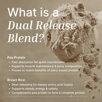 Vegan Protein Powder | Organic Cacao - 1KG