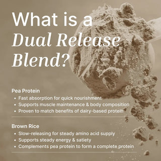 Vegan Protein Powder | Organic Cacao - 1KG