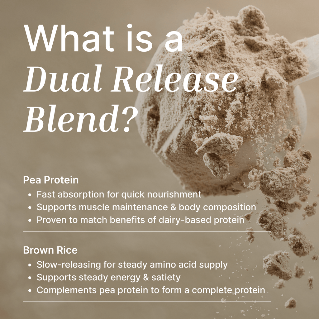 Vegan Protein Powder | Organic Cacao - 500G - Supplements - EXALT
