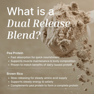Vegan Protein Powder | Organic Cacao - 500G
