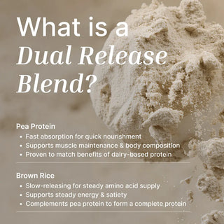 Vegan Protein Powder | Organic Madagascan Vanilla - 500G