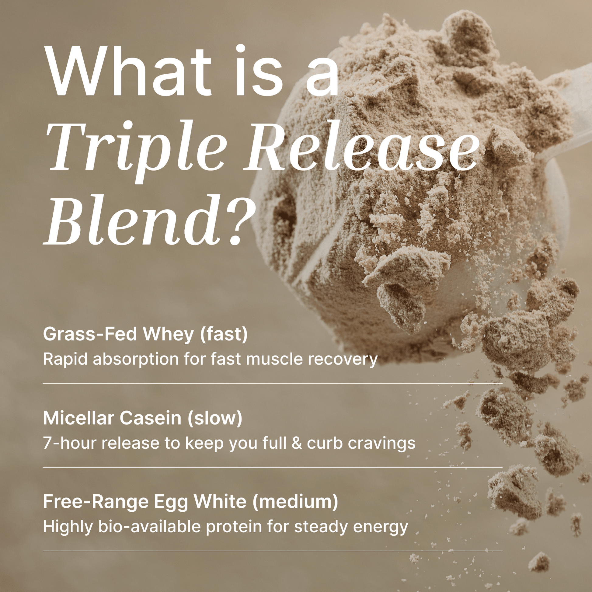 Whey Protein Powder | Organic Cacao - 1KG - Supplements - EXALT