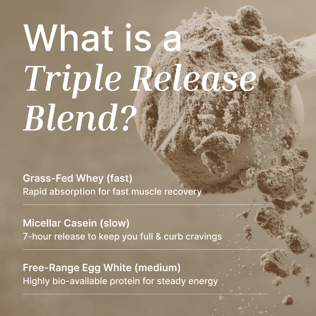 Whey Protein Powder | Organic Cacao - 500G - Supplements - EXALT